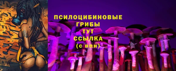 apvp Корсаков
