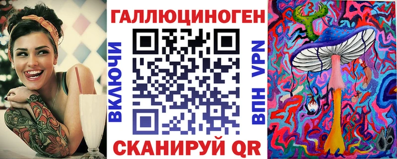 Псилоцибиновые грибы Psilocybe Серпухов