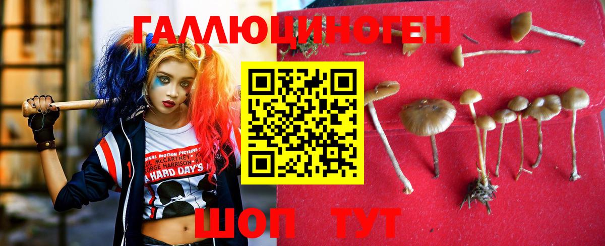 Серпухов  Галлюциногенные грибы Psilocybine cubensis  Вход с VPN 